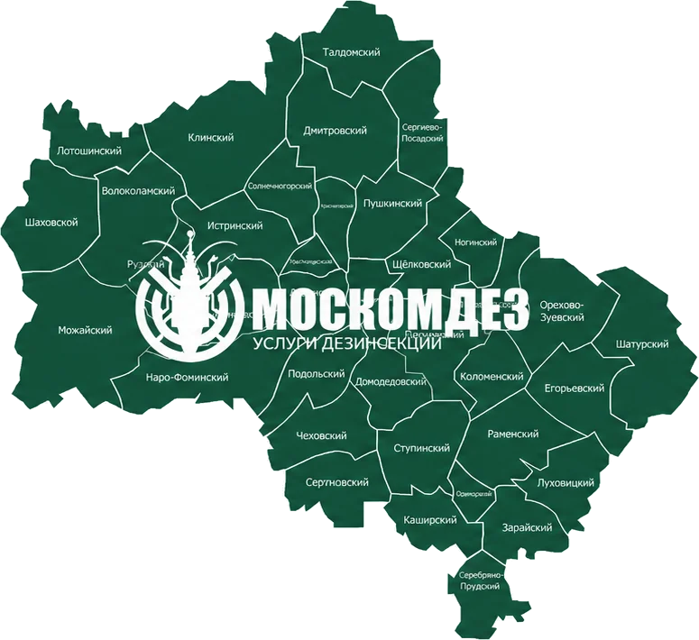 Карта выезда: Белоозёрский и Московская область